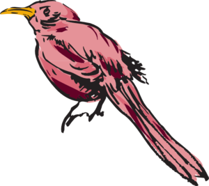 Pink Bird Art Clip Art